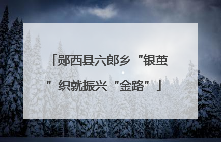 郧西县六郎乡“银茧”织就振兴“金路”