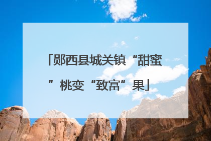 郧西县城关镇“甜蜜”桃变“致富”果