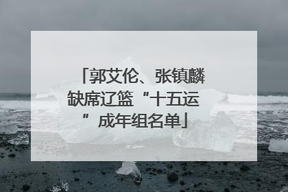 郭艾伦、张镇麟缺席辽篮“十五运”成年组名单