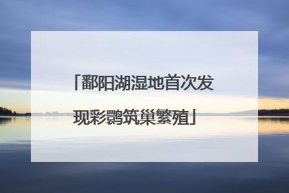 鄱阳湖湿地首次发现彩鹮筑巢繁殖