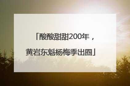 酸酸甜甜200年，黄岩东魁杨梅季出圈