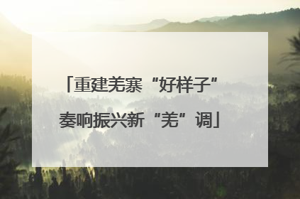 重建羌寨“好样子” 奏响振兴新“羌”调