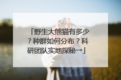 野生大熊猫有多少？种群如何分布？科研团队实地探秘→