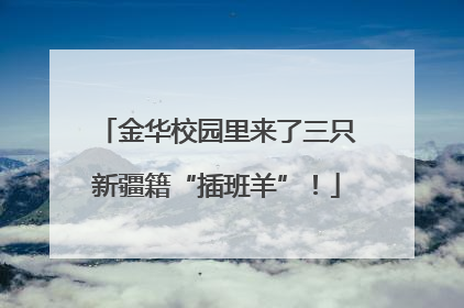 金华校园里来了三只新疆籍“插班羊”！