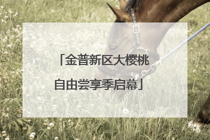 金普新区大樱桃自由尝享季启幕