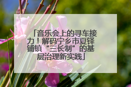 音乐会上的寻车接力！解码宁乡市夏铎铺镇“三长制”的基层治理新实践