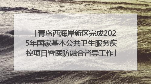 青岛西海岸新区完成2025年国家基本公共卫生服务疾控项目暨医防融合督导工作