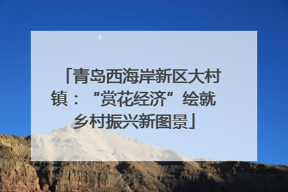 青岛西海岸新区大村镇：“赏花经济”绘就乡村振兴新图景