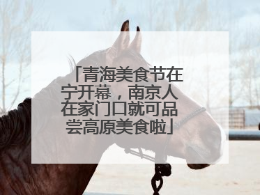 青海美食节在宁开幕，南京人在家门口就可品尝高原美食啦
