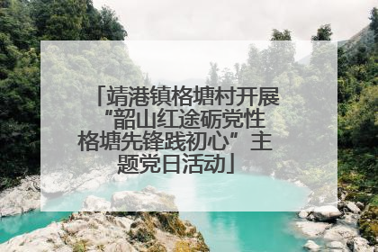 靖港镇格塘村开展“韶山红途砺党性 格塘先锋践初心”主题党日活动