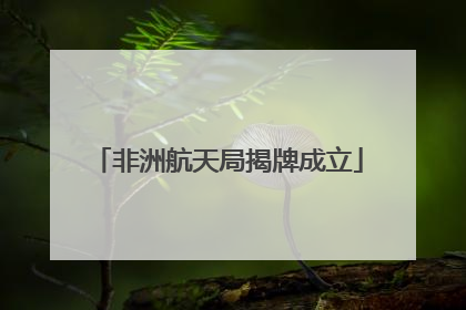 非洲航天局揭牌成立