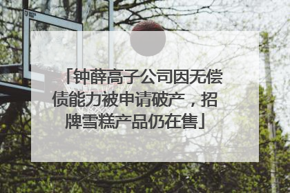 钟薛高子公司因无偿债能力被申请破产，招牌雪糕产品仍在售