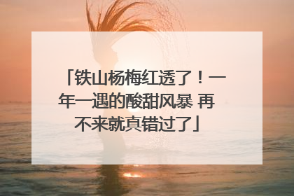 铁山杨梅红透了！一年一遇的酸甜风暴 再不来就真错过了