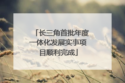 长三角首批年度一体化发展实事项目顺利完成