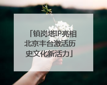 镇岗塔IP亮相 北京丰台激活历史文化新活力