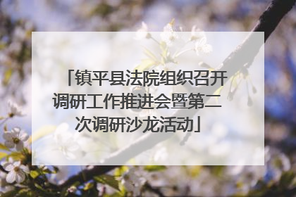 镇平县法院组织召开调研工作推进会暨第二次调研沙龙活动