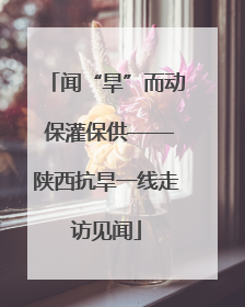 闻“旱”而动 保灌保供——陕西抗旱一线走访见闻