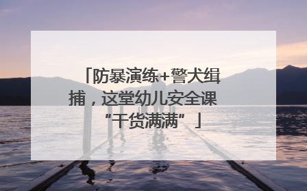 防暴演练+警犬缉捕，这堂幼儿安全课“干货满满”