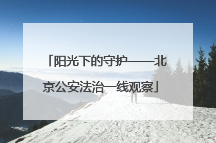 阳光下的守护——北京公安法治一线观察