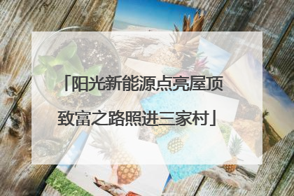 阳光新能源点亮屋顶 致富之路照进三家村
