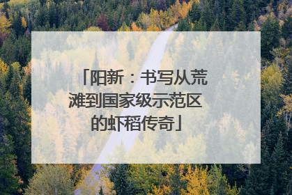 阳新：书写从荒滩到国家级示范区的虾稻传奇