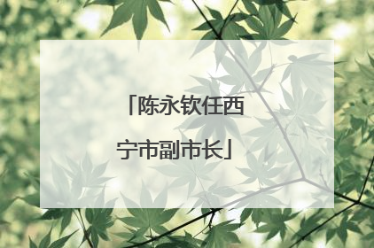 陈永钦任西宁市副市长
