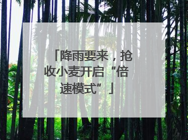 降雨要来，抢收小麦开启“倍速模式”
