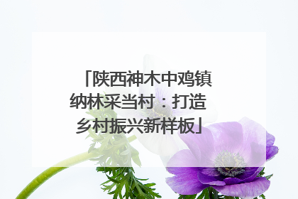 陕西神木中鸡镇纳林采当村：打造乡村振兴新样板