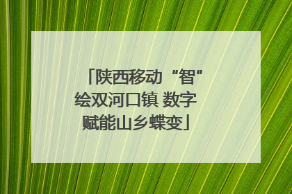 陕西移动“智”绘双河口镇 数字赋能山乡蝶变