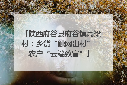 陕西府谷县府谷镇高梁村：乡货“触网出村” 农户“云端致富”