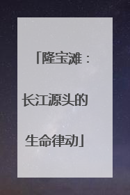 隆宝滩：长江源头的生命律动
