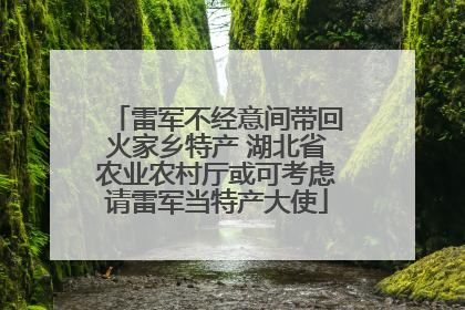 雷军不经意间带回火家乡特产 湖北省农业农村厅或可考虑请雷军当特产大使