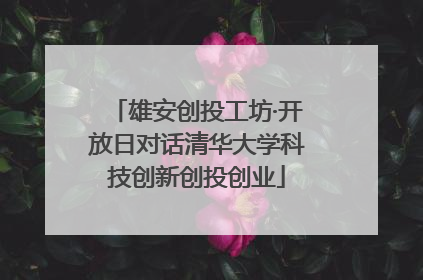 雄安创投工坊·开放日对话清华大学科技创新创投创业