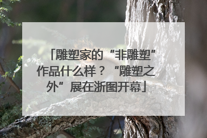 雕塑家的“非雕塑”作品什么样？“雕塑之外”展在浙图开幕