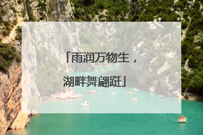 雨润万物生，湖畔舞翩跹
