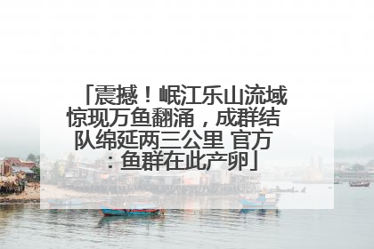 震撼！岷江乐山流域惊现万鱼翻涌，成群结队绵延两三公里 官方：鱼群在此产卵