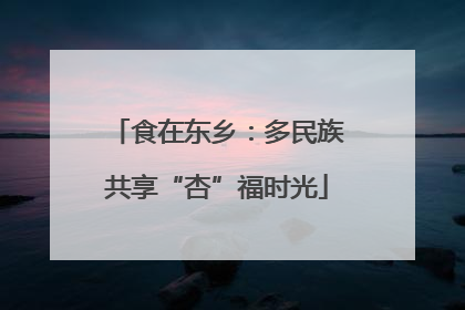 食在东乡：多民族共享“杏”福时光