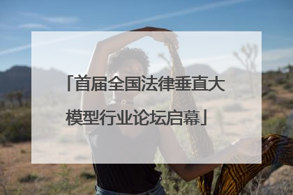 首届全国法律垂直大模型行业论坛启幕