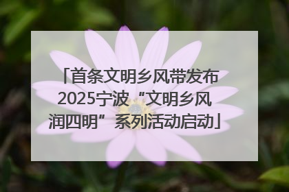 首条文明乡风带发布 2025宁波“文明乡风润四明”系列活动启动
