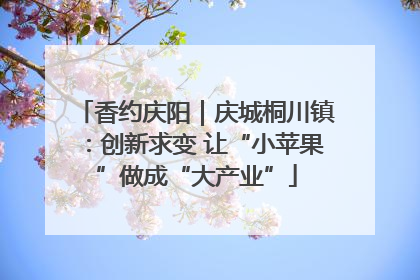 香约庆阳｜庆城桐川镇：创新求变 让“小苹果”做成“大产业”