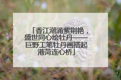香江潮涌紫荆艳，盛世同心绘牡丹——巨野工笔牡丹画搭起港菏连心桥
