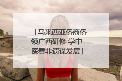 马来西亚侨商侨领广西研修 学中医看非遗谋发展