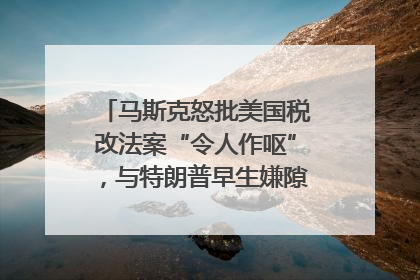 马斯克怒批美国税改法案“令人作呕”，与特朗普早生嫌隙？｜国际识局