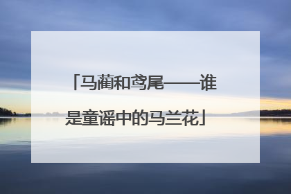 马蔺和鸢尾——谁是童谣中的马兰花