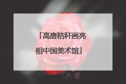 高唐秸秆画亮相中国美术馆