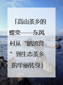 高山茶乡的蝶变——东风村从“鹧鸪营”到生态茶乡的华丽转身