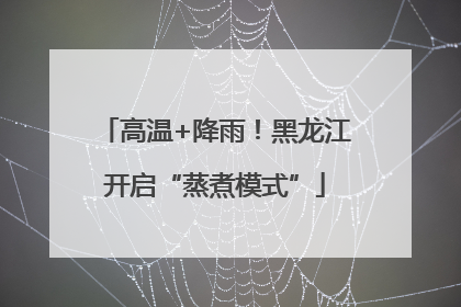 高温+降雨！黑龙江开启“蒸煮模式”