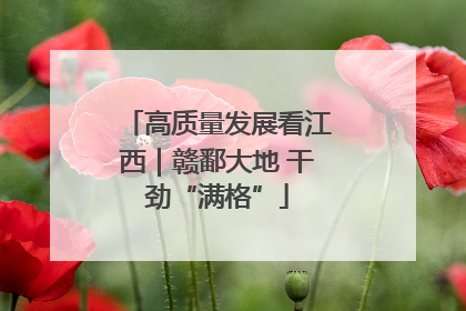 高质量发展看江西｜赣鄱大地 干劲“满格”