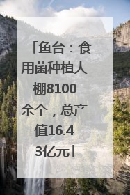 鱼台：食用菌种植大棚8100余个，总产值16.43亿元
