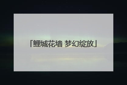 鲤城花墙 梦幻绽放